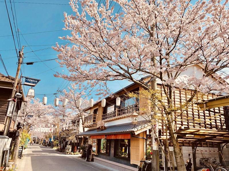 【熊本県 阿蘇市 古民家レストラン　阿蘇　はなびし】建築専門学校時代の友人の熊本地震復興古民家店舗再生工事　【図板､墨付編】　（宗像市　白木建設）